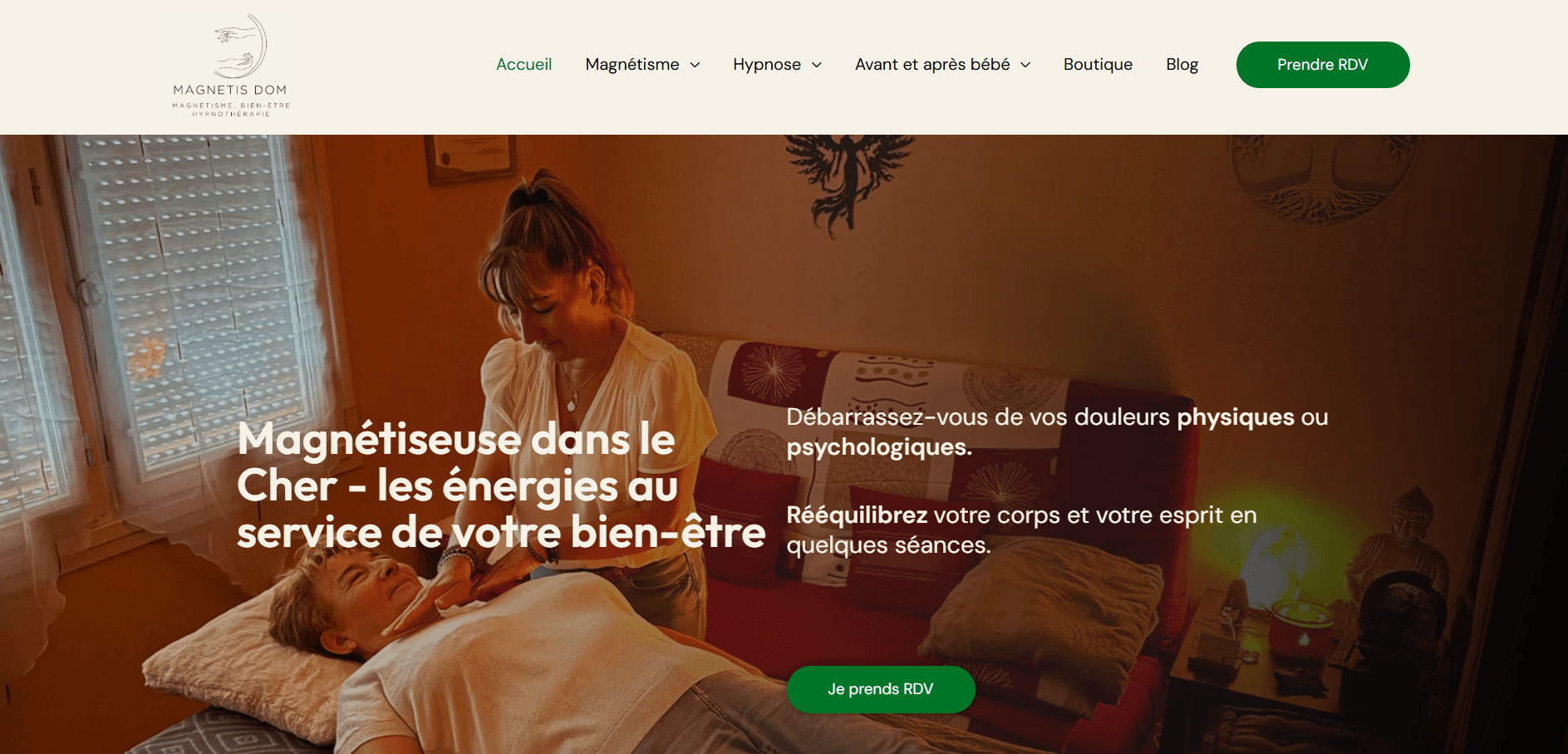 Capture d'écran de la page d'accueil du site magnetisdom.fr